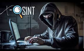 Domain OSINT Investigation